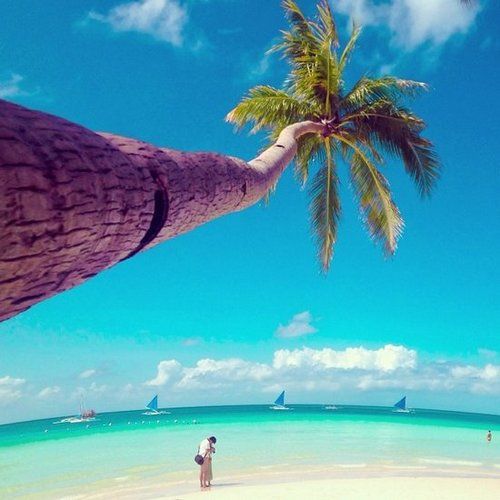 意境风景美图 笑一笑你的人生会更美好