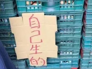 老板，您辛苦了