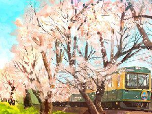 毕竟是我爱的樱花 唯美樱花风景图片