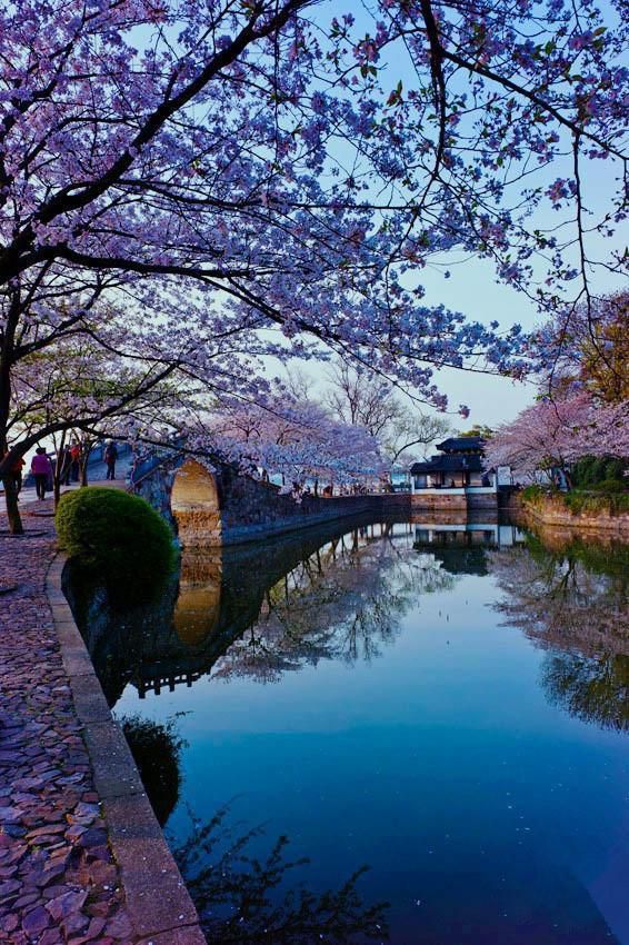 好看风景图 何必去怀念犯过的错何必去遗憾那些如果