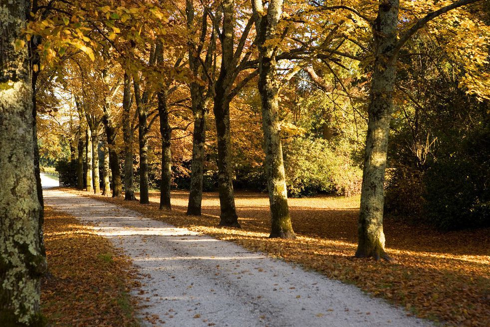 秋天开学季 送上唯美景色图
