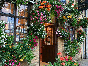 繁花小镇美丽风景图 美景让人窒息