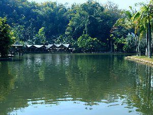 西双版纳风景图片