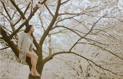 女孩与花的好看唯美图片