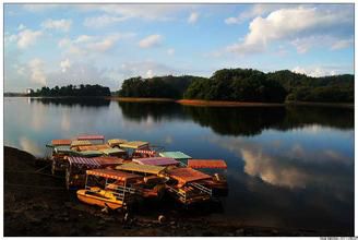 阳江鸳鸯湖门口风景图