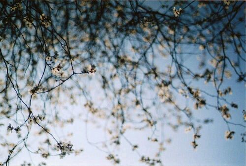 风景美图 人生是一场盛大的遇见