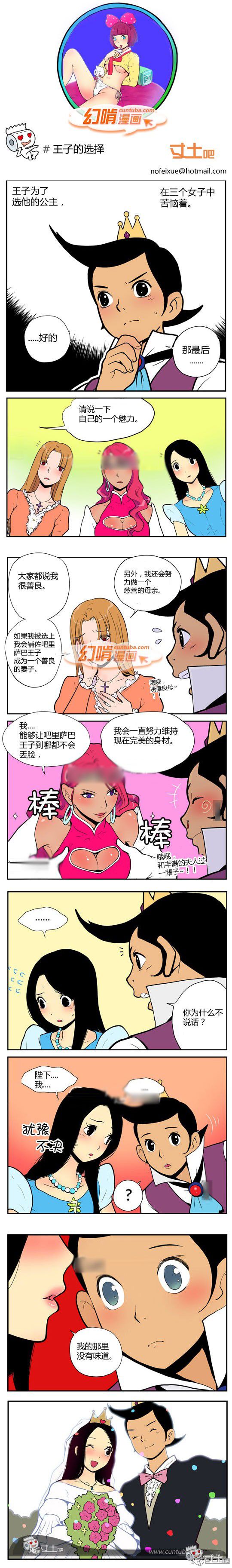 幻啃漫画系列之王子的选择