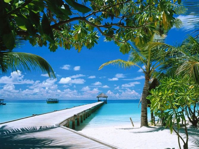 海南风景图片 安静的陶醉也是一种美