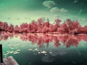 犹如世外桃源般的 奇幻美景图片欣赏