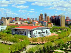 黑龙江肇东市风景图