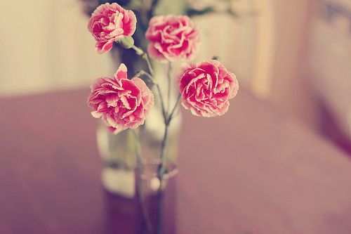 唯美好看的花朵图片,小清新花儿图