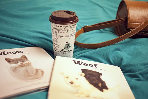 意境美图 悠闲地生活