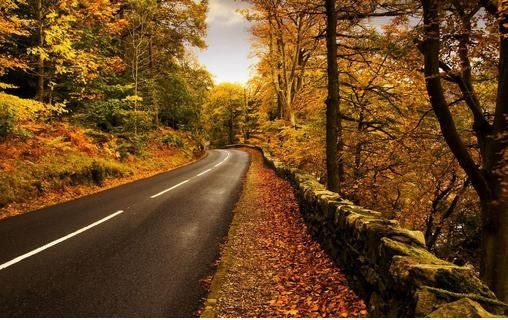 让人看后心情舒爽的风景图 回忆在美也是过去