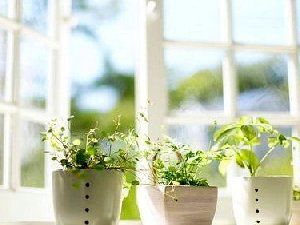 唯美意境图片 窗台上那充满阳光