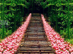 跟着风景去旅行 漂亮的风景图【图】