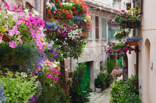 繁花小镇美丽风景图 美景让人窒息