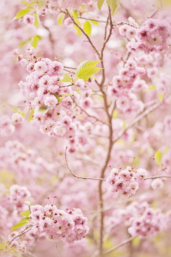 唯美伤感lomo清新意境治愈系美图