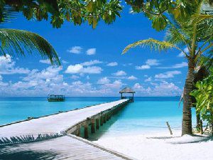 海南风景图片 安静的陶醉也是一种美