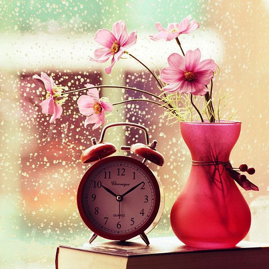 下雨天高清唯美图片,雨中好看的图