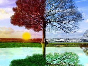 你乐谷风景美图 路途的风景