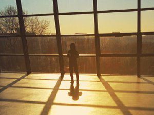 唯美意境图片 早上的阳光美景