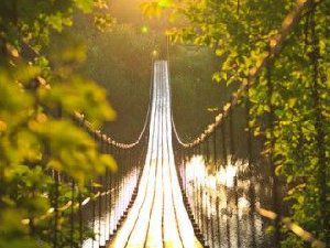 想和你走一条没有尽头的路