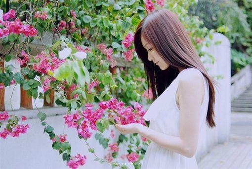 好看意境图片 谁沾染了谁的年华