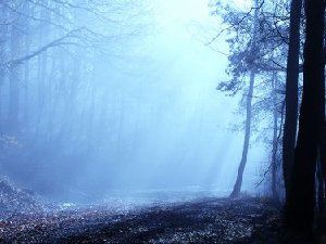 森林系唯美景色 好想远离城市