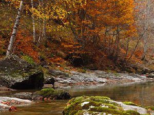 多个地方唯美秋天美景图片