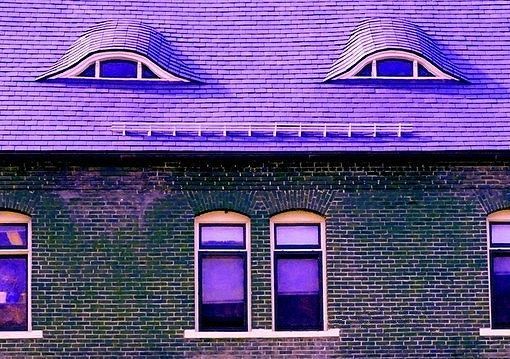 浪漫的紫色优美图 献给尊贵的你