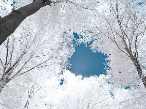 好看美景图片 令人敞开心扉