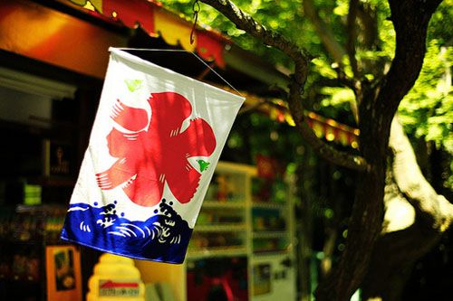 去不同的城市看不同的风景美图