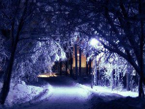 意境美景图片 温暖皆为我爱