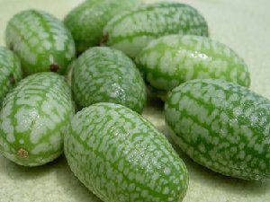 世界最小西瓜有多大 迷你西瓜叫