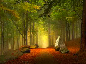 沿途路上的美景意境图片