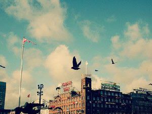 城市风景经典图片：流年在等谁的相