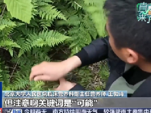 专家辟谣鱼腥草致癌传言 隔夜菜、腌