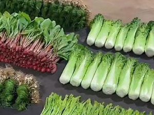 咱说卖个菜都这样卷了吗