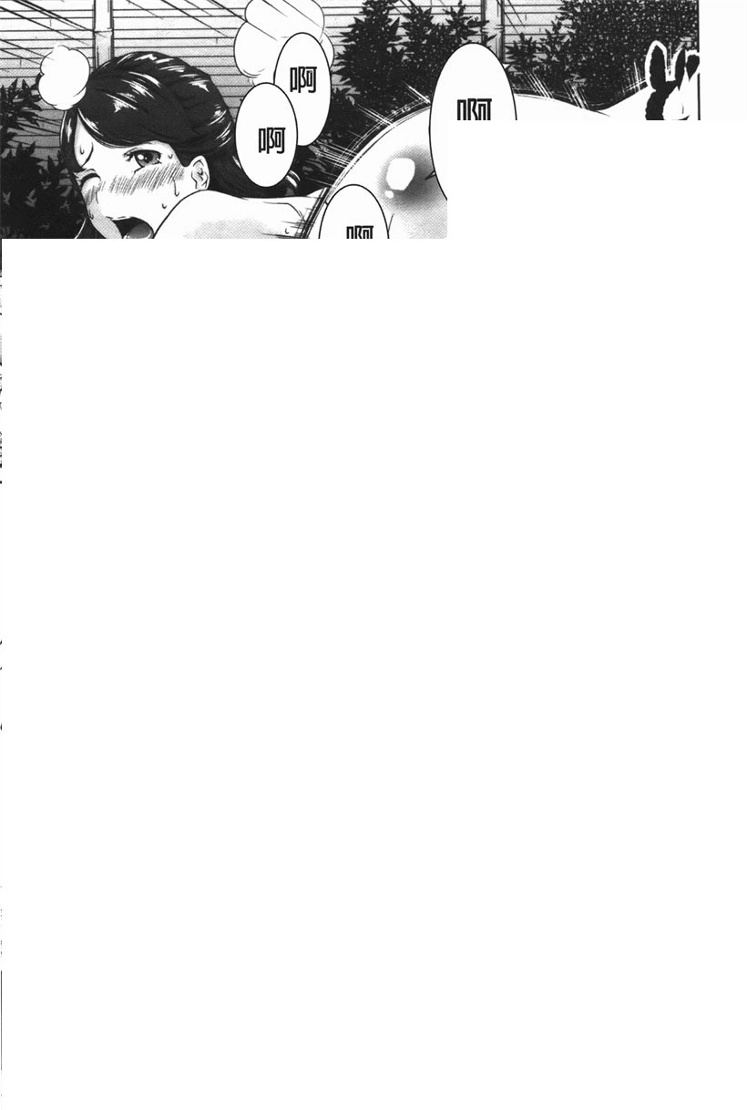 风贝先生的聚会(5)