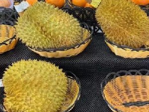 榴莲价格跳水果商一天卖了9千斤 又